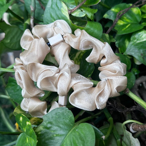 Pair of Scrunchies