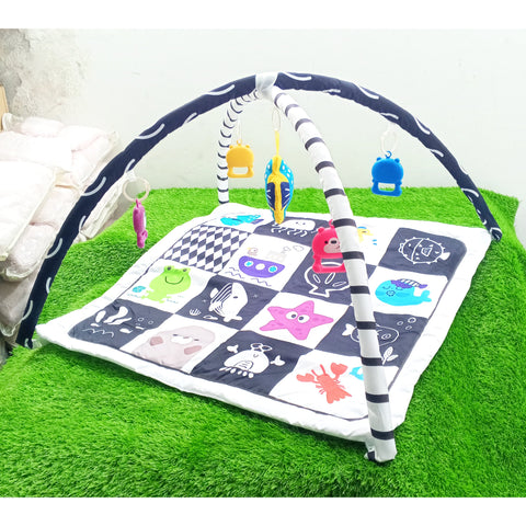 Multi-Functional Game Blanket