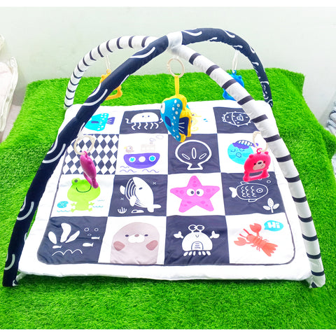 Multi-Functional Game Blanket