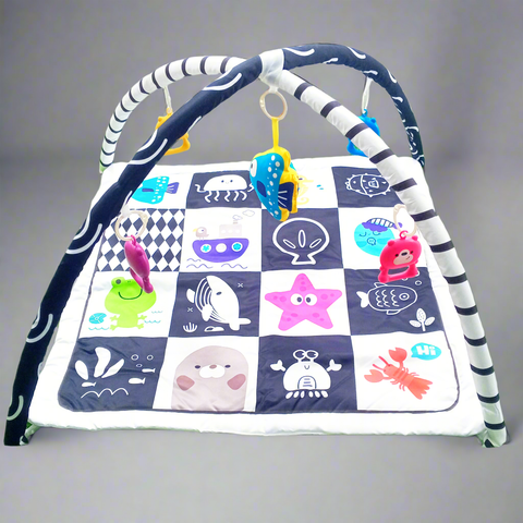 Multi-Functional Game Blanket