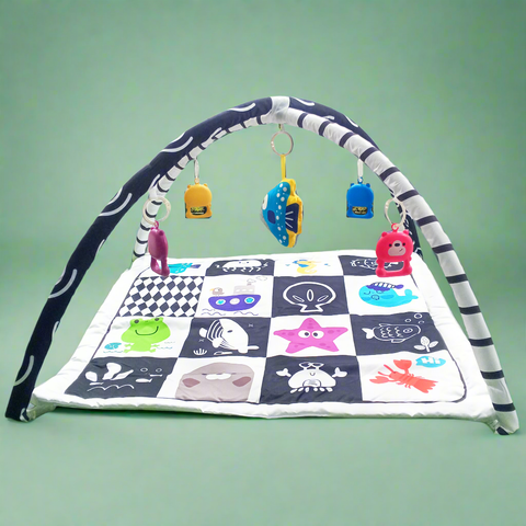 Multi-Functional Game Blanket