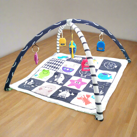Multi-Functional Game Blanket