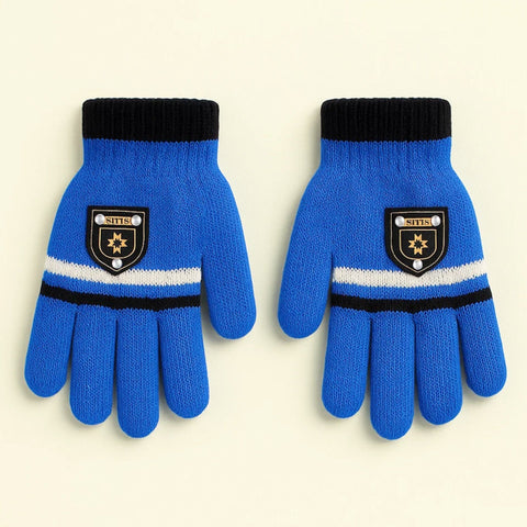 Pair of Gloves - Blue - Best Style - (3-5 Years)